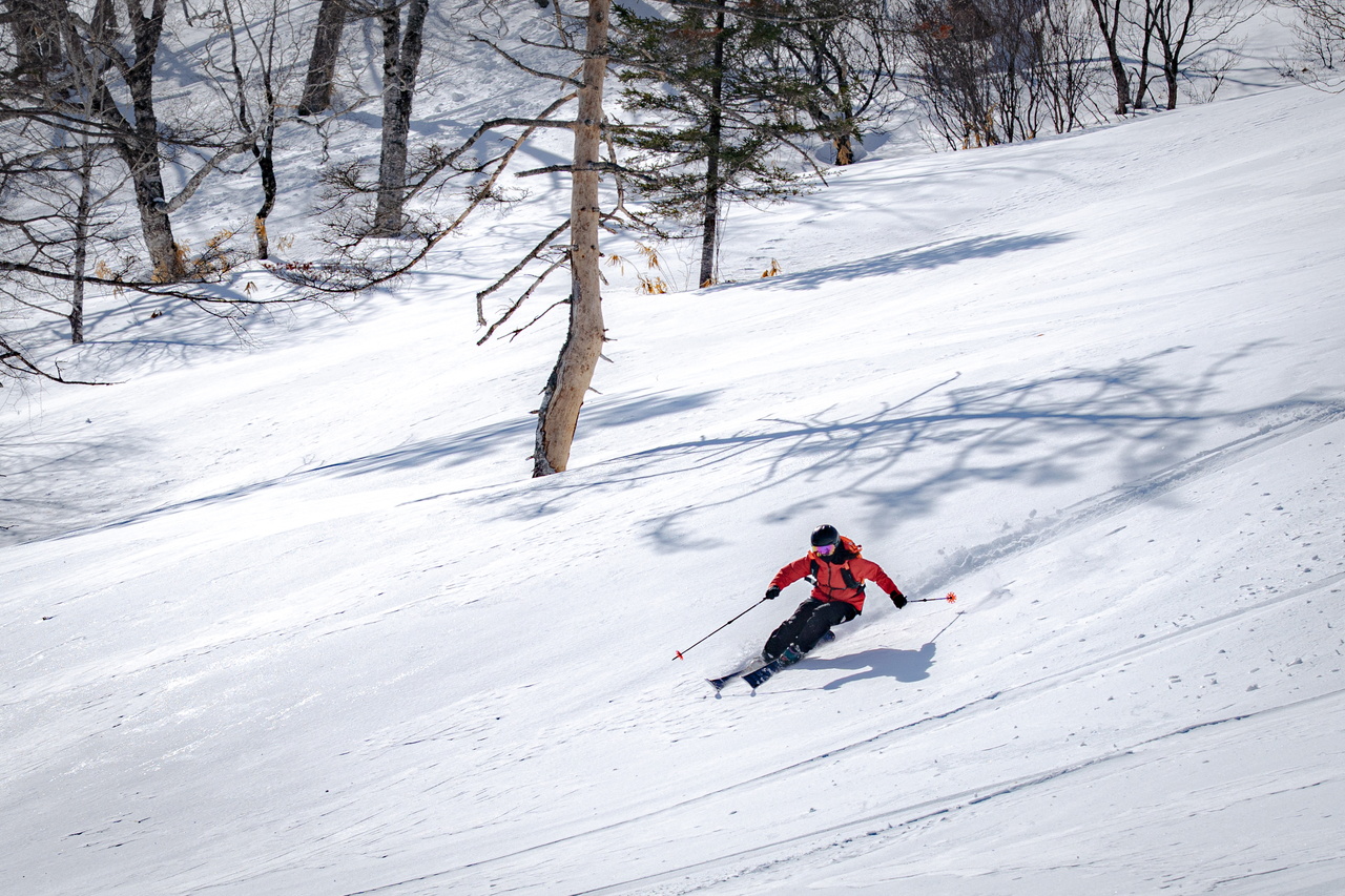 skier：西田 麗夏 - Reika Nishita